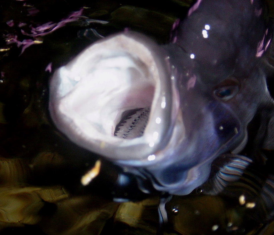 picture1758.jpg